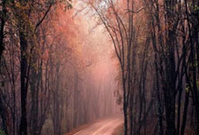 炒股带杠杆:抄股配资-498股获杠杆资金大手笔加仓